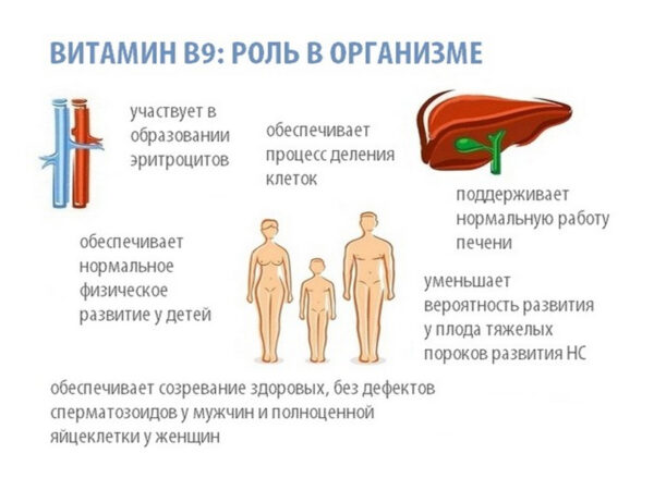 Обязательный витамин после 40 лет и во время беременности Обязательный витамин после 40 лет и во время беременности