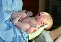 Новорожденный Новорожденный